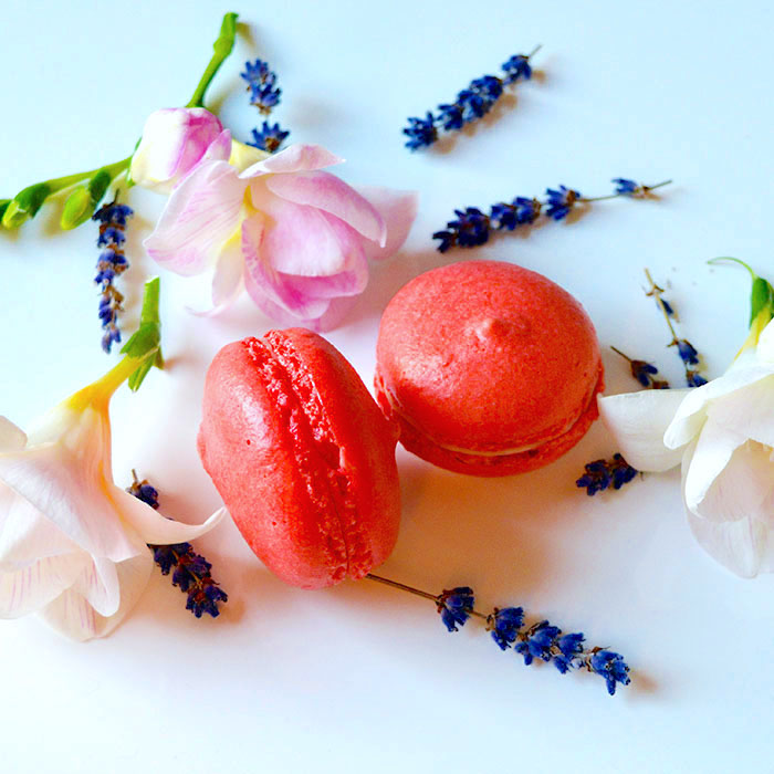 french macaron